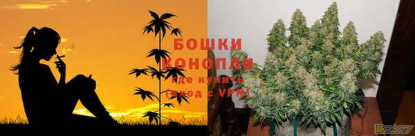 хмурый Михайлов