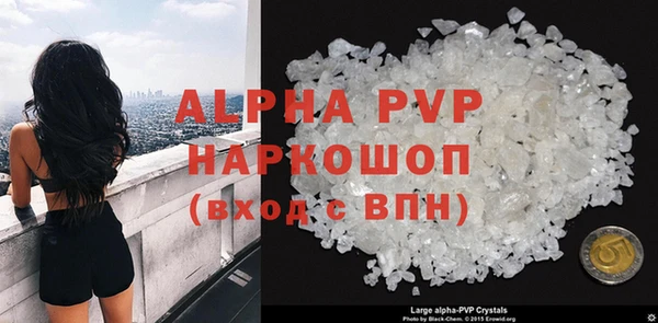 эйфоретик Надым