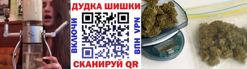 цены наркотик  Новосиль  Бошки Шишки MAZAR 